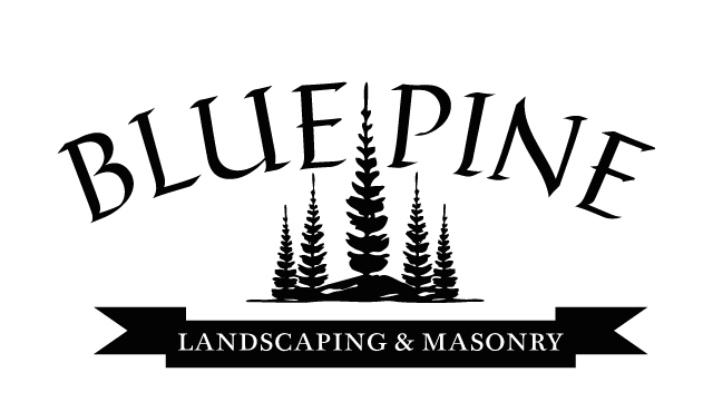 https://bluepine-lawns.com/wp-content/uploads/2024/04/Blue-pine-para-fondo-blanco-2-02.png
